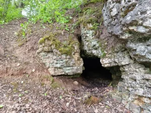 Aknīstes Velnala. 2025. gada maijs.