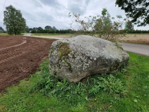 Ventkalnu bedrīšakmens. 2025. gada septembris.