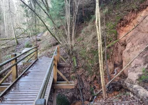 Vidējā Laņģu ala, avots. 2024. gada novembris.