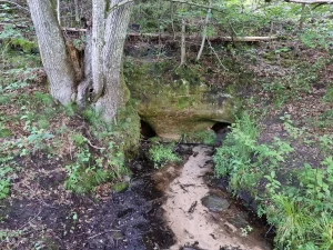 Zīļu avotala. 2025. gada jūnijs.