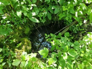 Bertrama avots. 2025. gada jūnijs.