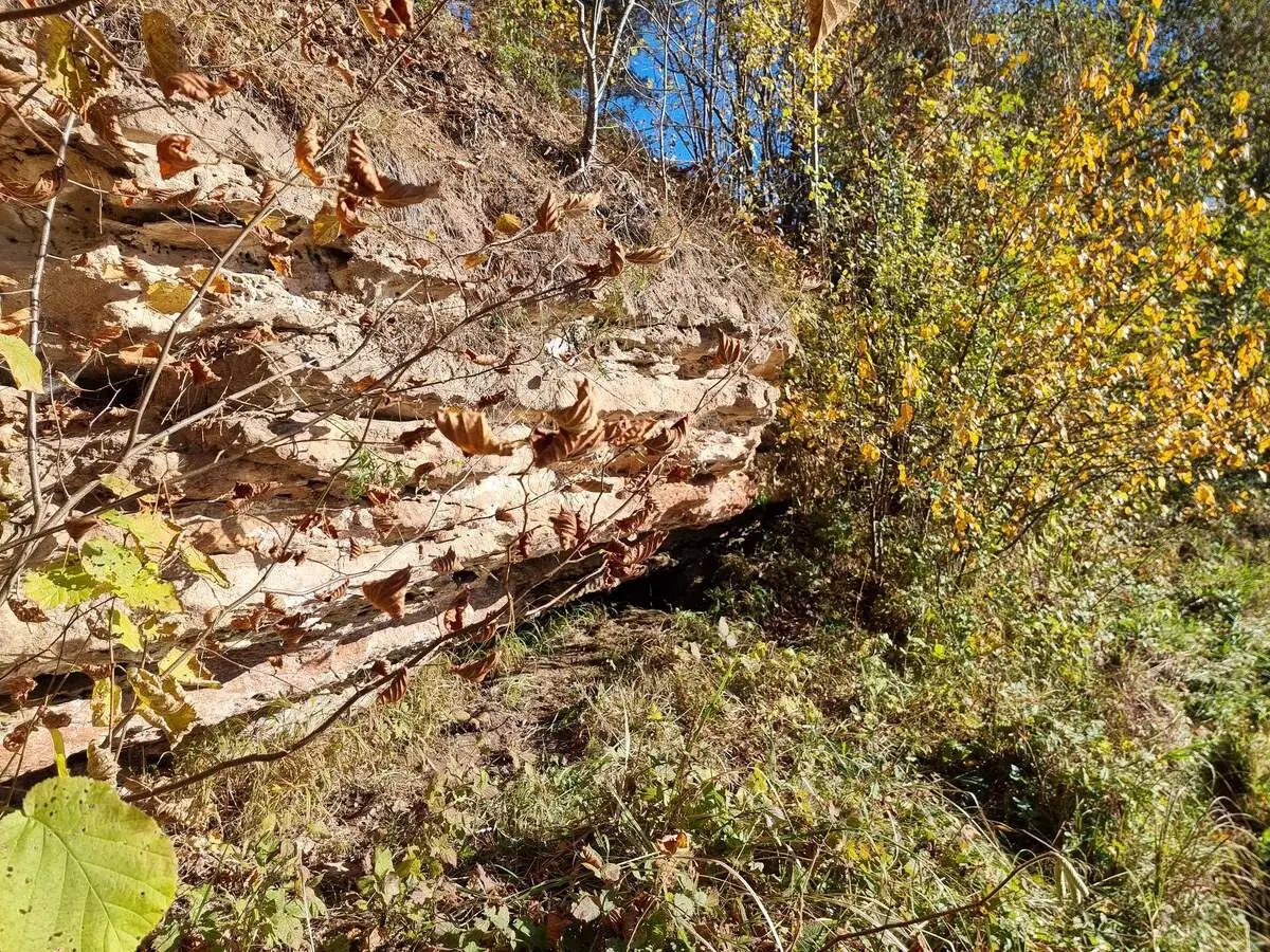 Svētes atsegums pie Cielaviņām. 2025. gada oktobris.