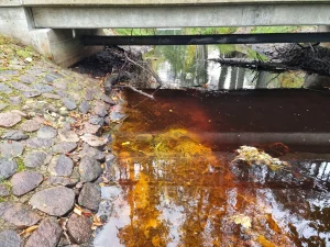 Ķemeru ūdenstorņa tiltiņa avots. 2025. gada oktobris.