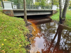 Miervalža Ķemera gatves tilta avots ir iekrāsojis upes krastu. 2025. gada oktobris.