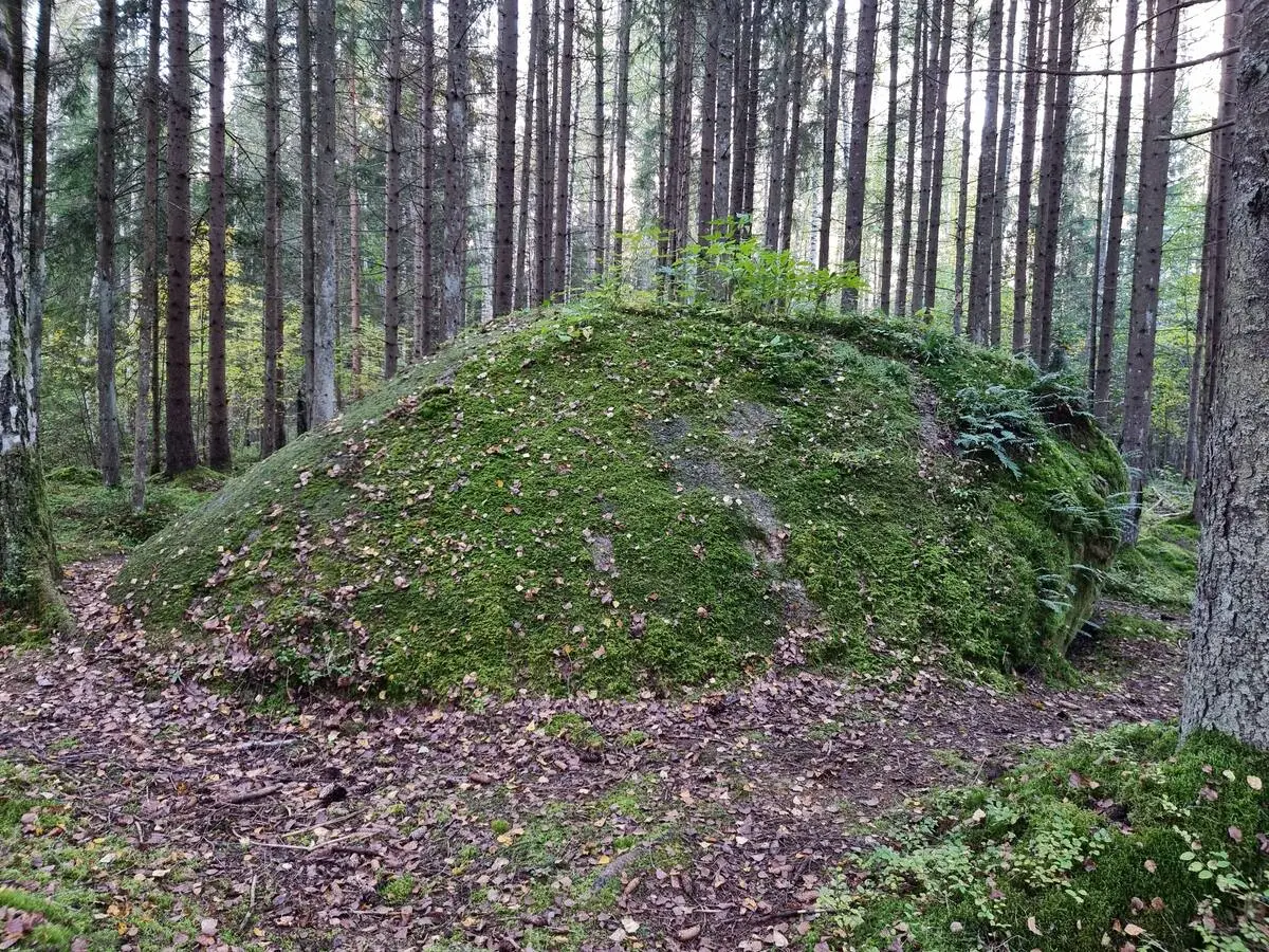 Muižuļu dižakmens no ziemeļu puses. 2025. gada oktobris.