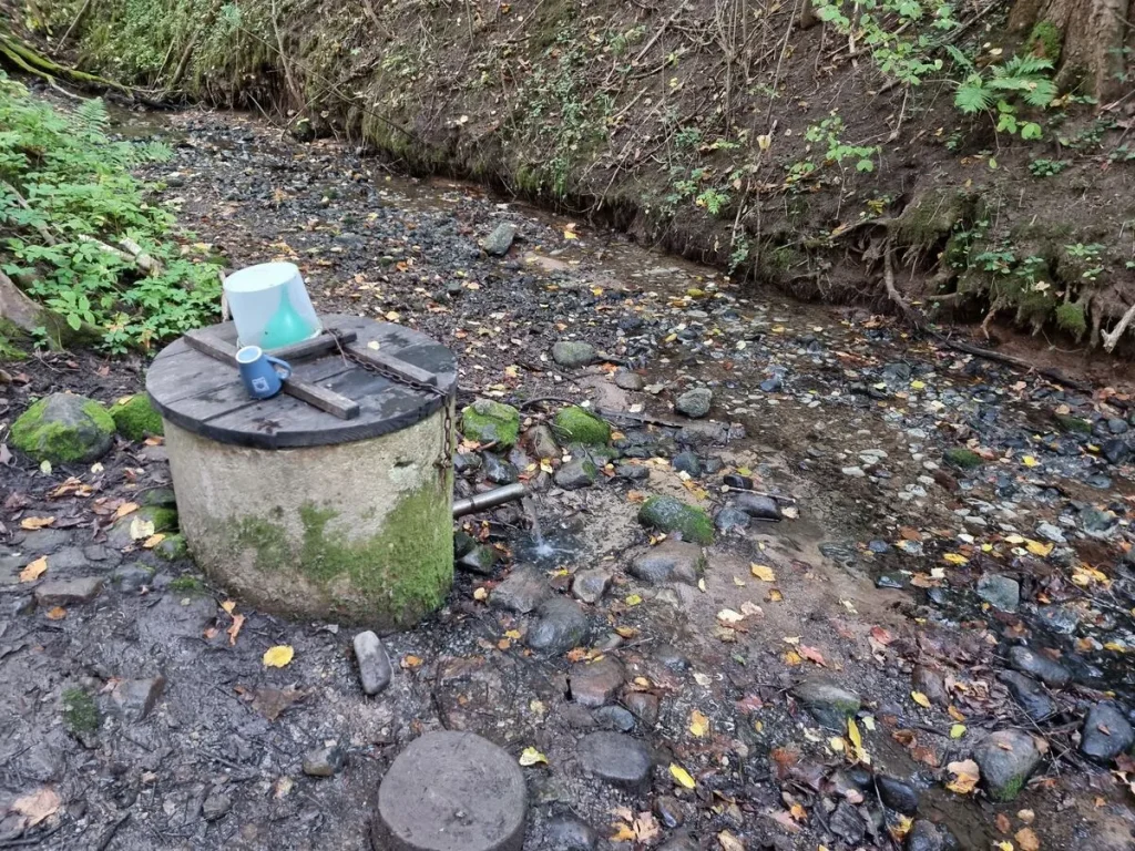 Rogāļu Laimas avotiņš. 2025. gada septembris.