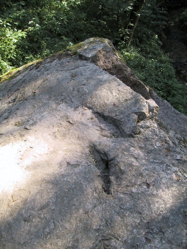 Iedobumi Rogāļu akmens virsmā. 2008. gada augusts.