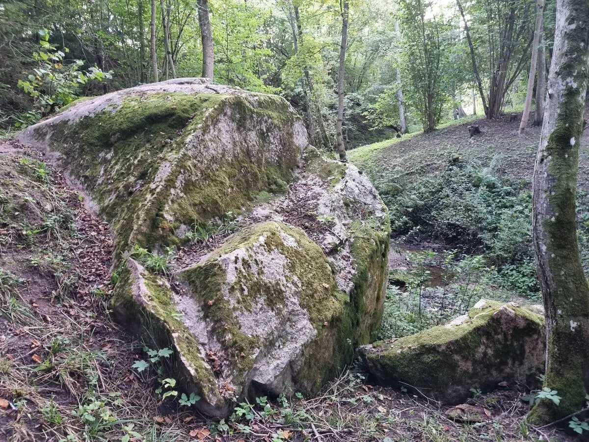 Rogāļu akmens. 2025. gada septembris.