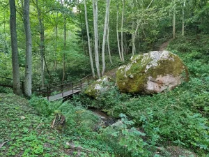 Rogāļu akmens. 2025. gada septembris.