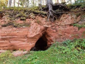 Rostu ala. 2025. gada oktobris.