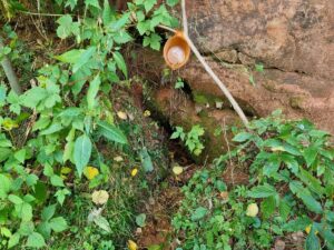 Rostu klinšu avotiņš. 2025. gada oktobris.