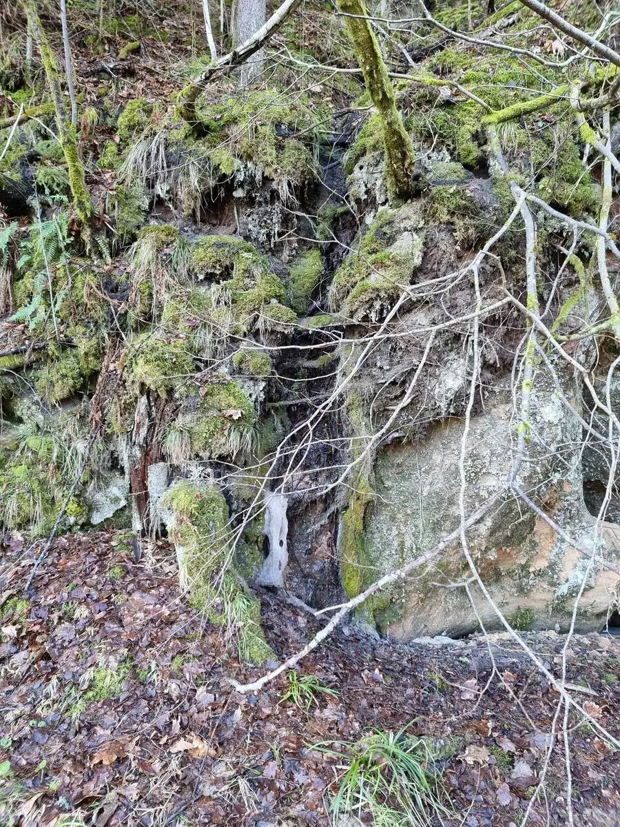 Sautas kalna Garās alas ūdenskritums. 2024. gada februāris