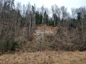 Dambja iezis. 2024. gada decembris.