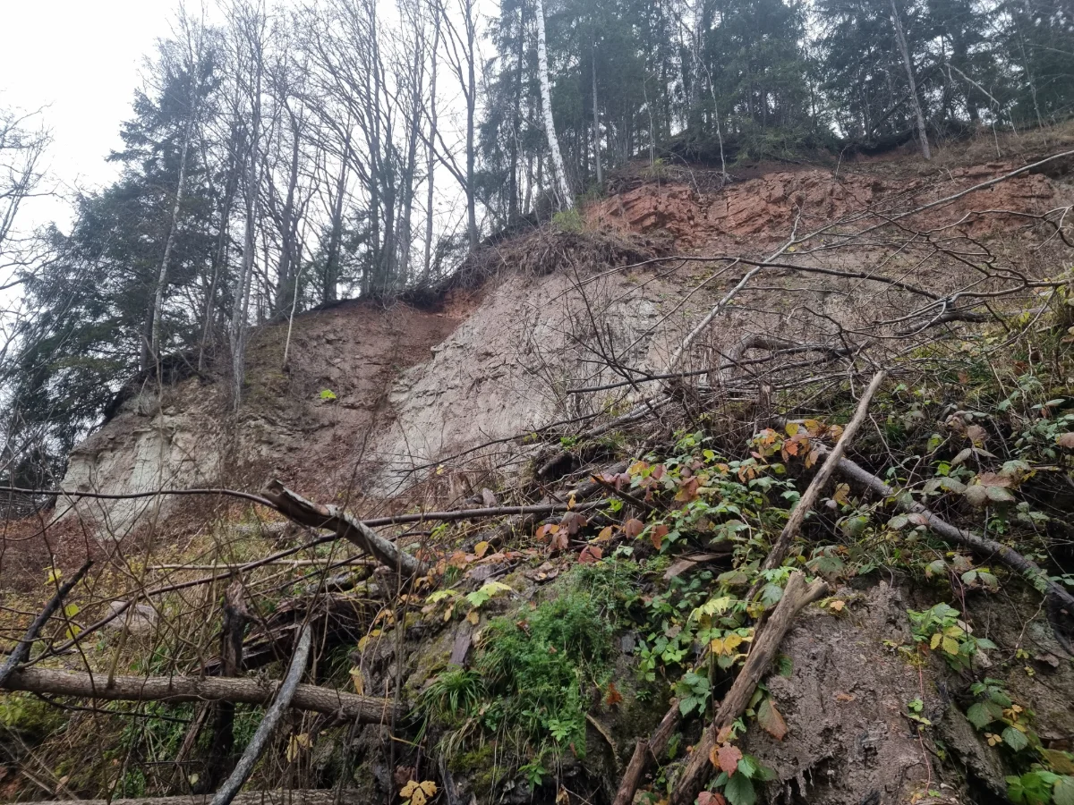 Dambja iezis. 2025. gada novembris.