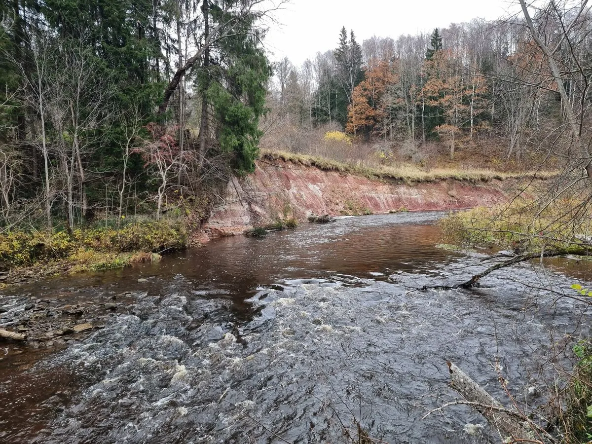 Gulbju ieža augšējā daļa. 2025. gada novembris.