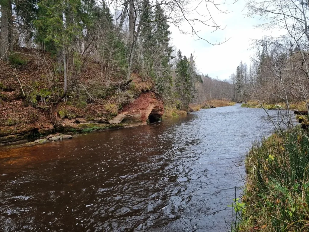 Gulbju ieža lejasdaļa. 2025. gada novembris.