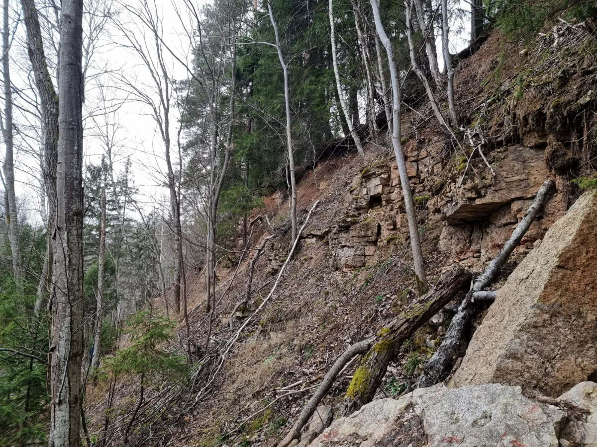 Īļaku iezis. 2024. gada decembris.