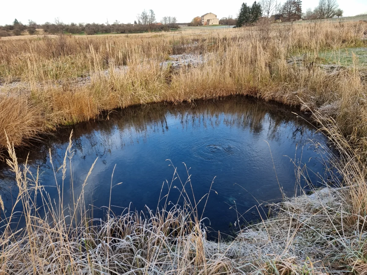 Nīzeres sēravots. 2025. gada novembris.