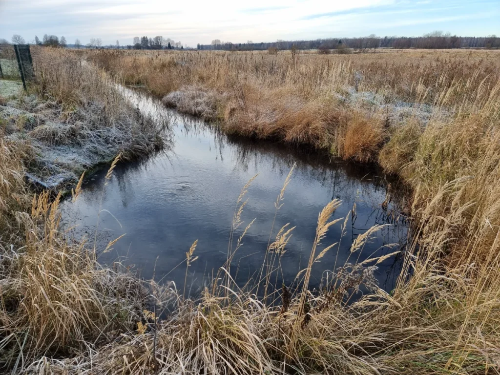 Nīzeres sēravots. 2025. gada novembris.