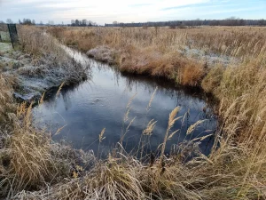 Nīzeres sēravots. 2025. gada novembris.