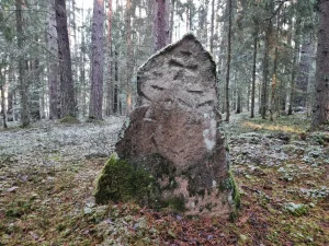 Rakstu senkapu krustakmens. 2025. gada novembris.