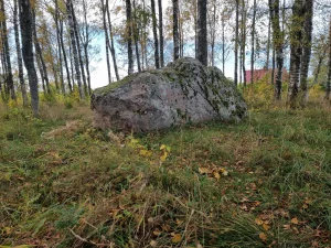 Salacgrīvas Maija birzs akmens. 2025. gada oktobris.