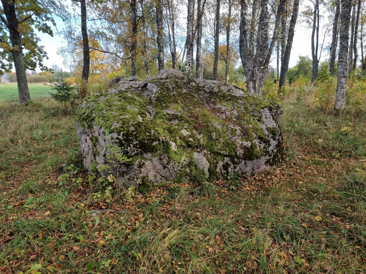 Salacgrīvas Maija birzs akmens. 2025. gada oktobris.