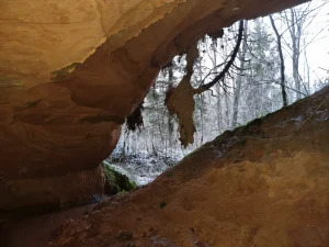 Vecupes ieža niša. 2025. gada novembris.