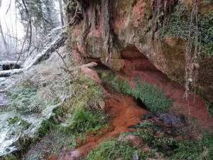 Vecupes ieža dzelzsavots. 2025. gada novembris.