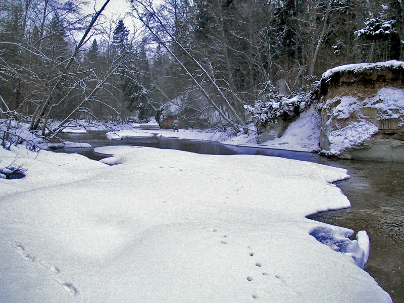 Gulbju iezis. Klintssalas vairs nav - pāris mēnešos tā pazudusi bez pēdām! 2001. gada janvāris.