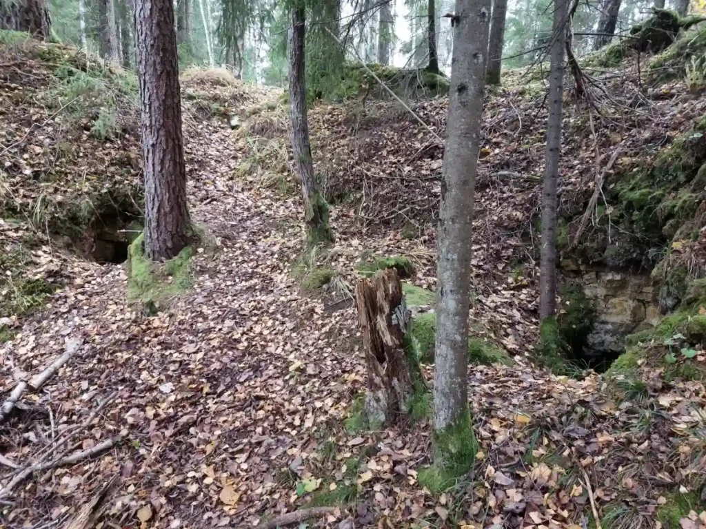 Iļāku alas: gandrīz noteikti - mākslīgi veidoti pagrabi. 2025. gada novembris.