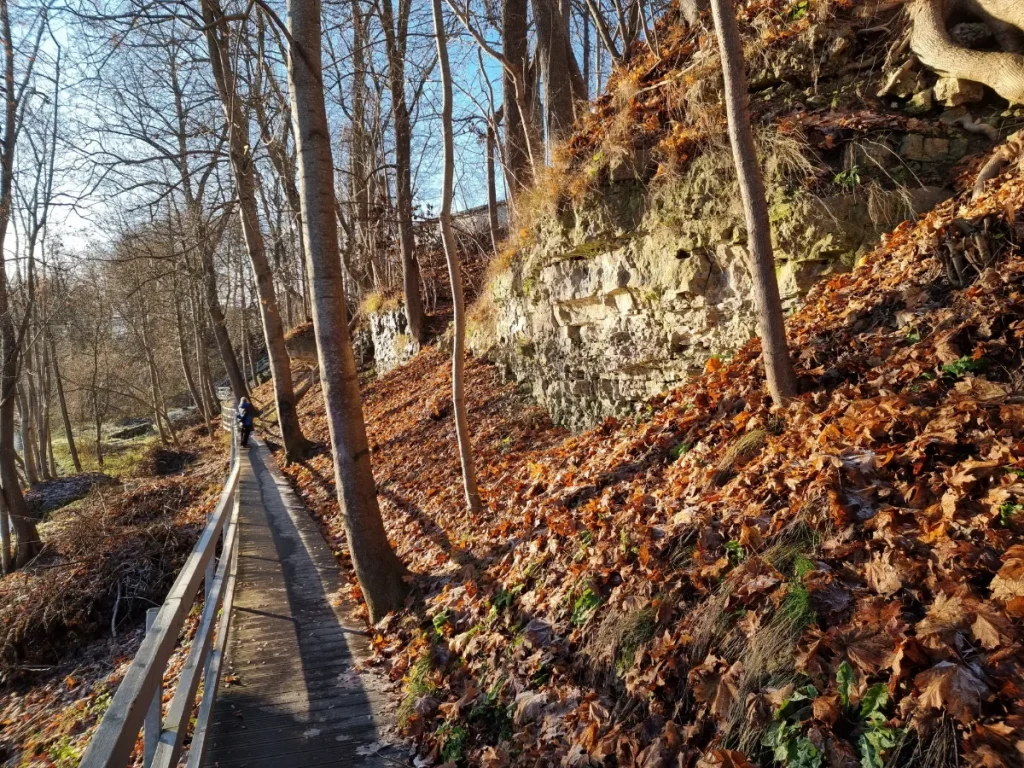 Iecavas Dievdārziņa klintis. 2025. gada novembris.