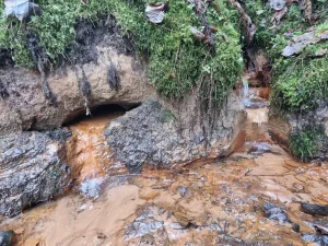 Simtēnu gravas dzelzsavoti. 2025. gada novembris.