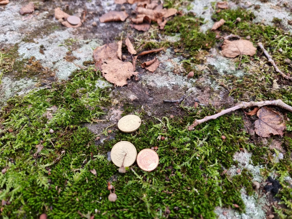 Ezerskolas Upurakmens, ziedojumi. 2025. gada decembris.