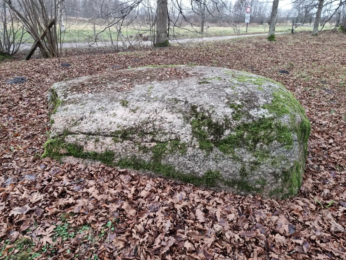 Ezerskolas Upurakmens. 2025. gada decembris.