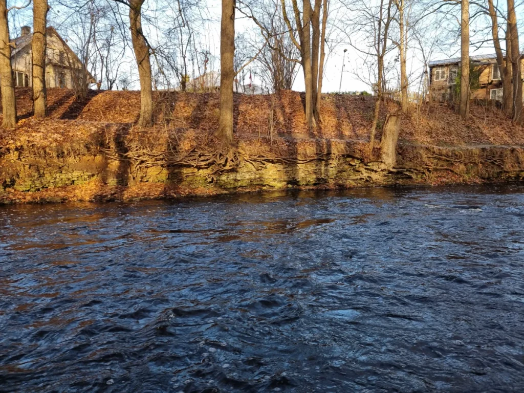 Iecavas parka atsegumi. 2025. gada novembris.