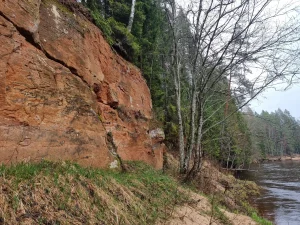 Līņu klintis. 2024. gada aprīlis.