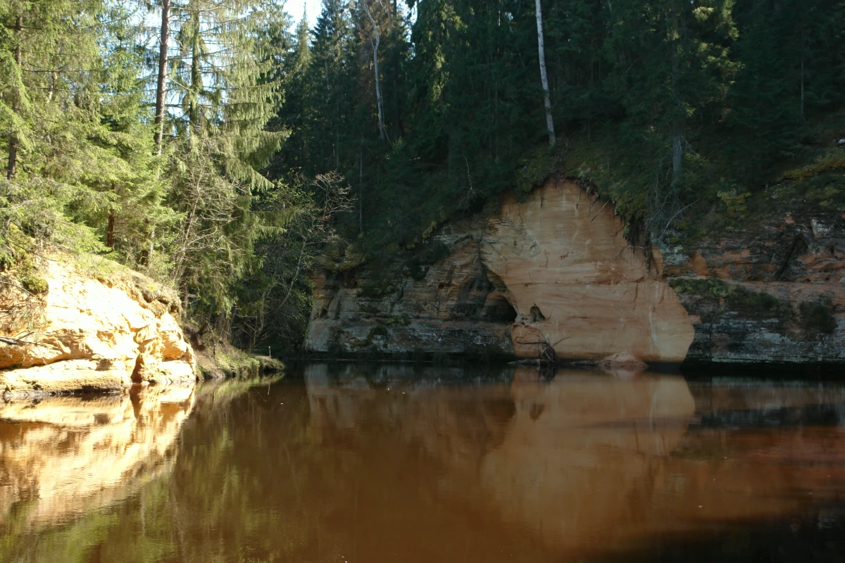 Baltais iezis un Melnais iezis. 2008. gada aprīlis.