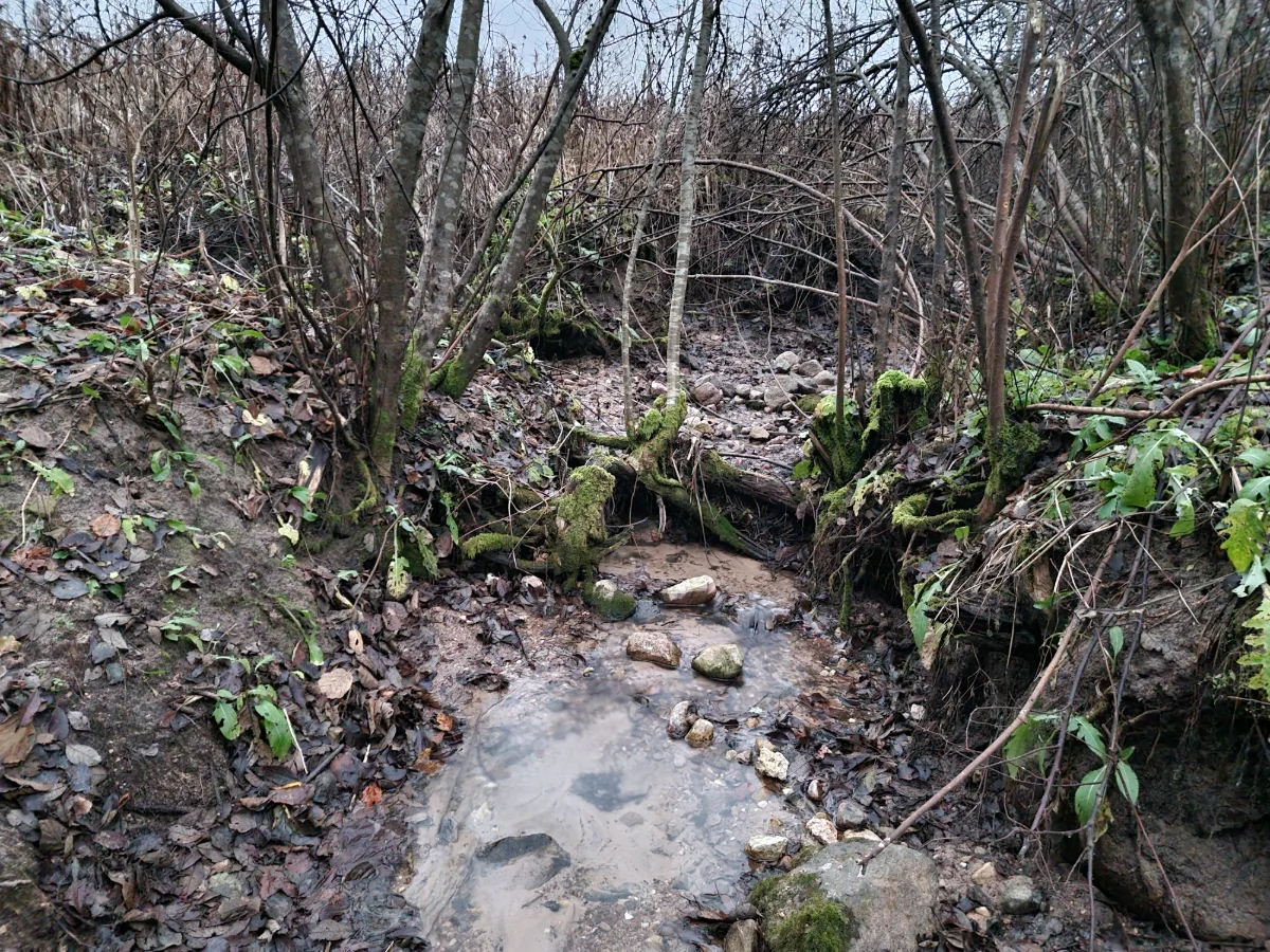 Olutovas avots. 2025. gada novembris.