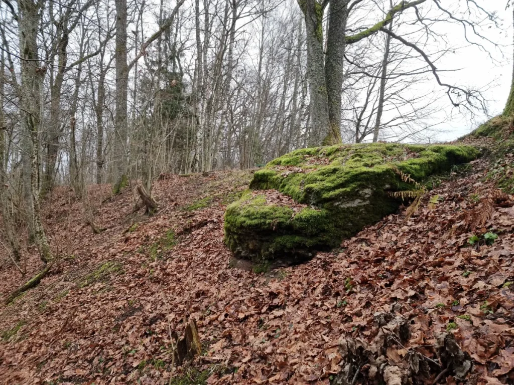 Rudzīšu akmens. 2025. gada decembris.