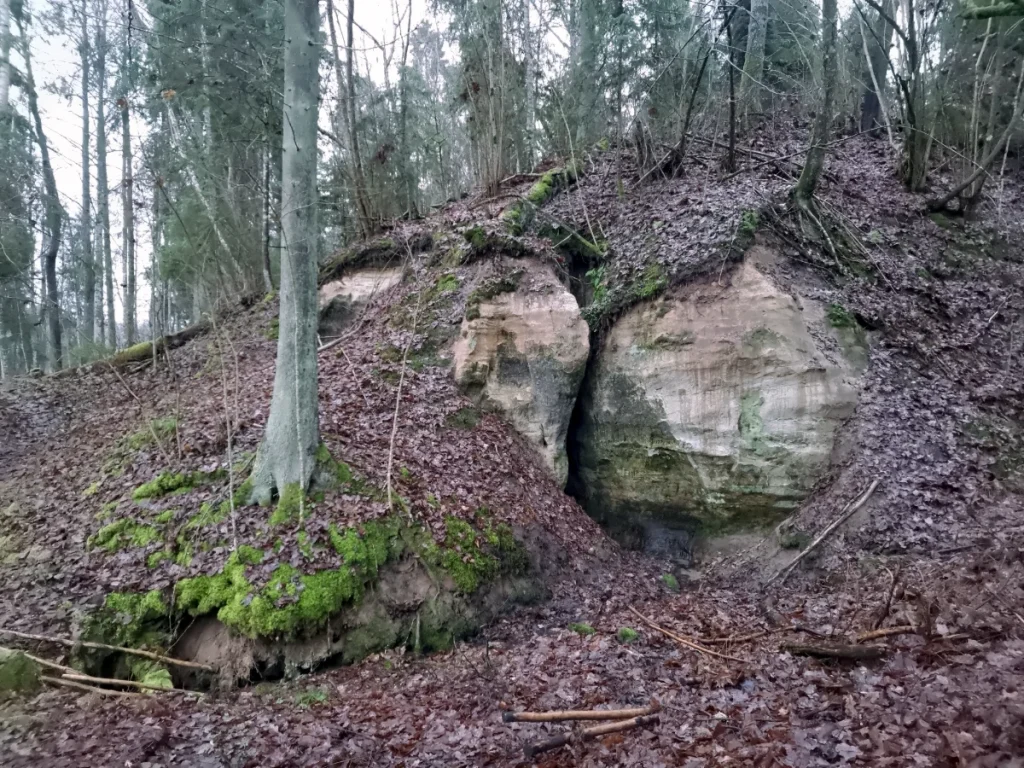 Vaidavas plaisala. 2025. gada decembris.