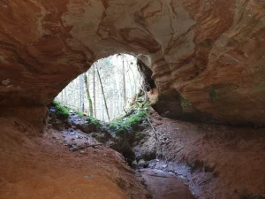 Vāļu Lielā ala. 2025. gada novembris.