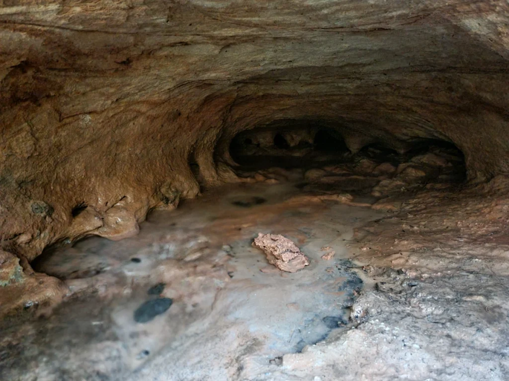 Vāļu Mazā ala. 2025. gada novembris.