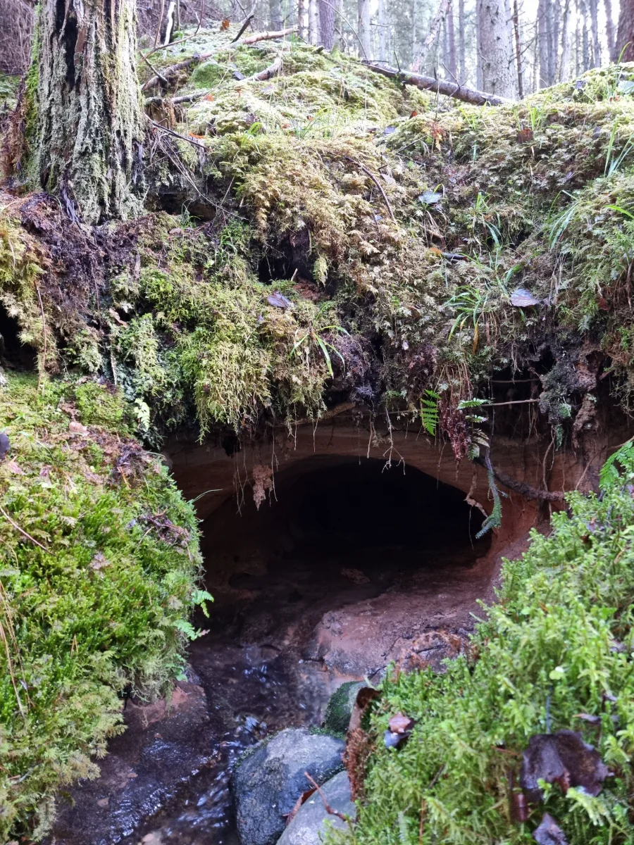 Vāļu Mazā ala, avots. 2025. gada novembris.