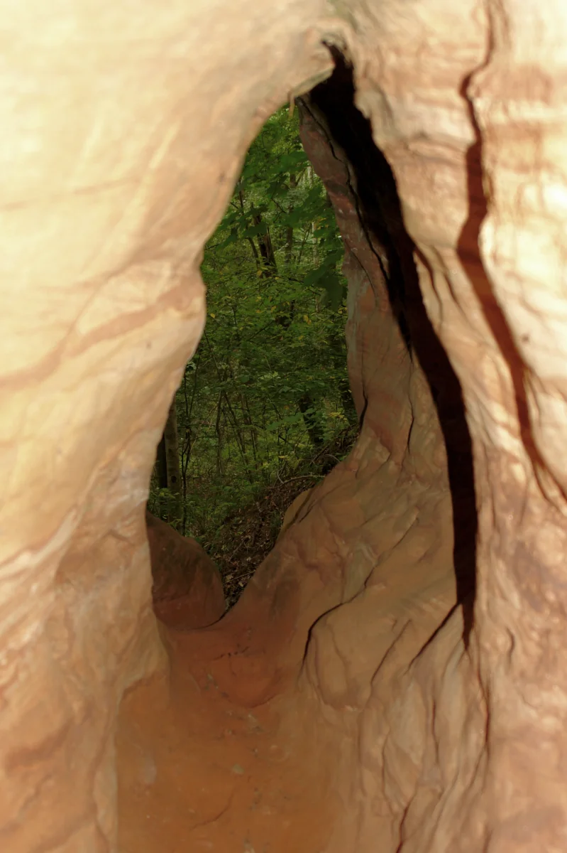 Auna pieres ala, skats uz ārpasauli. 2007. gada septembris.