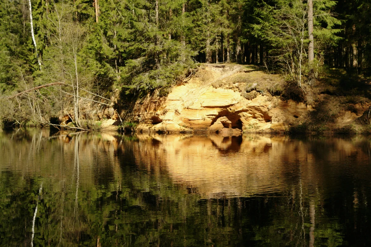 Baltais iezis. 2008. gada aprīlis.