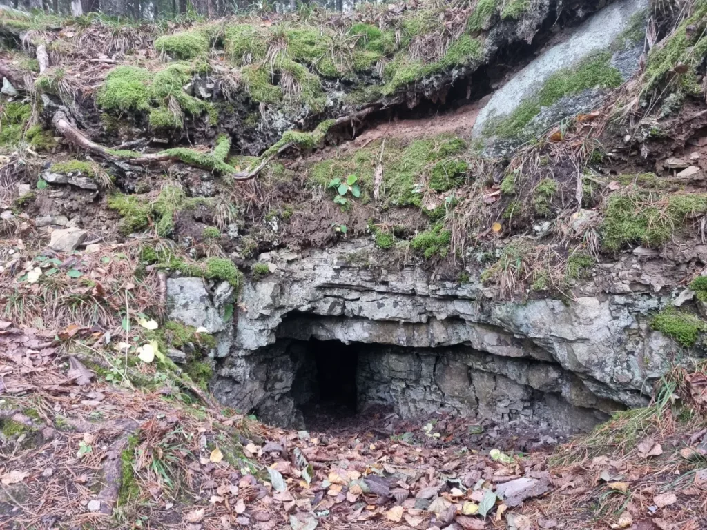 Bruņa ala. 2025. gada novembris.