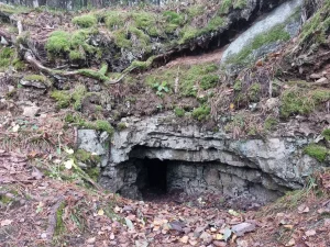 Bruņa ala. 2025. gada novembris.