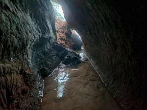 Lielā Jaunapsīšu ala. 2025. gada novembris.