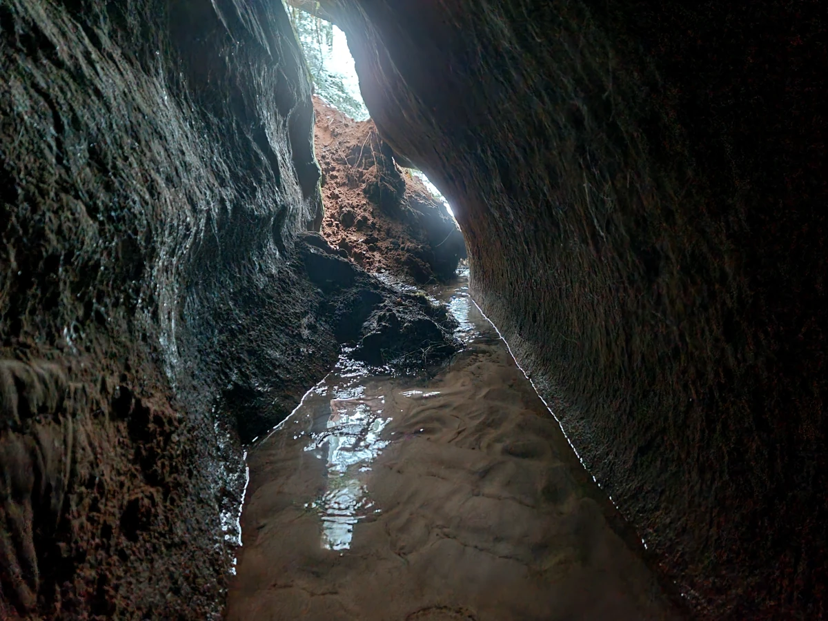 Lielā Jaunapsīšu ala. 2025. gada novembris.